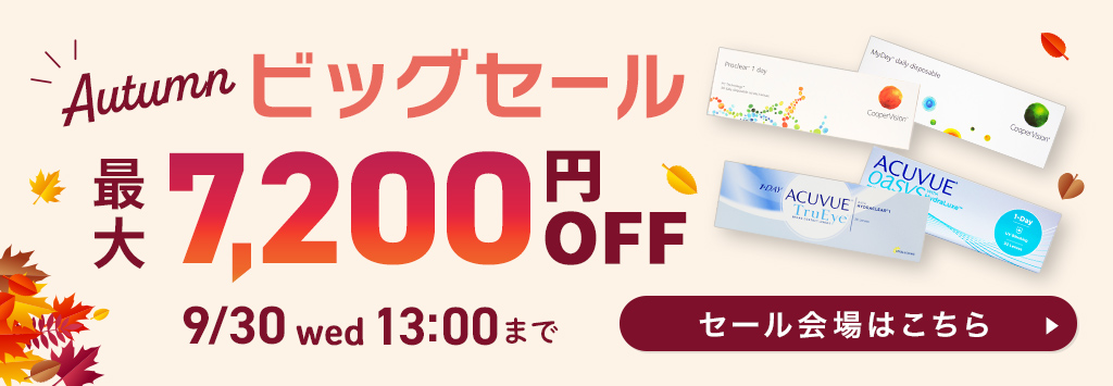 秋のビッグセール