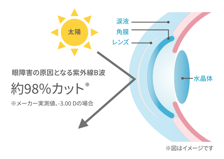 目にやさしいUVカット機能